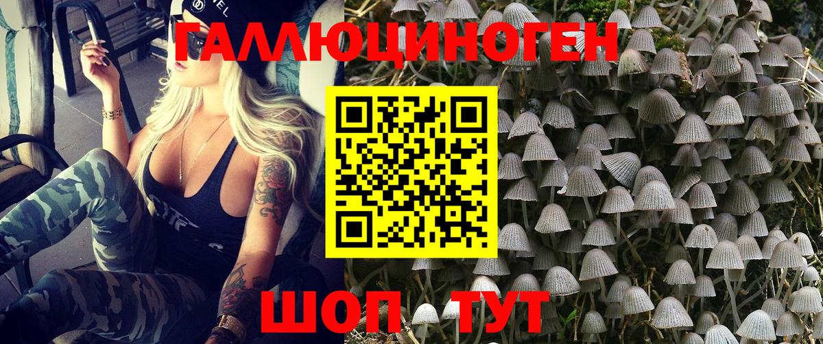 Псилоцибиновые грибы Cubensis Карталы